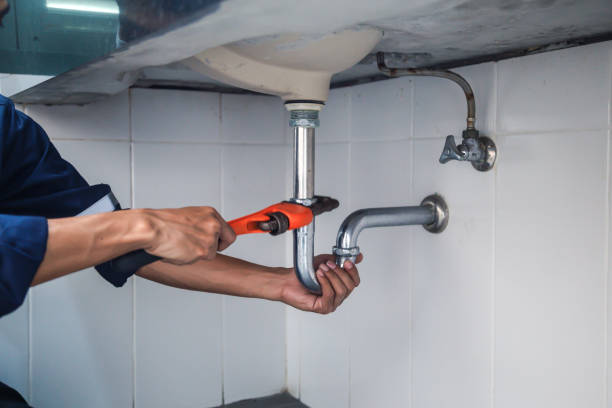 Best Commercial Plumbing Services  in Despard, WV