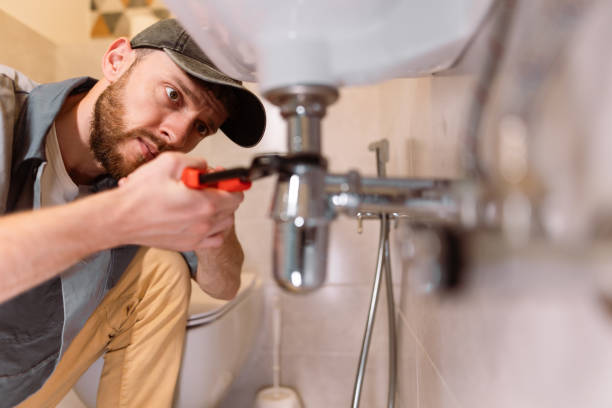Best Plumbing Inspection Services  in Despard, WV
