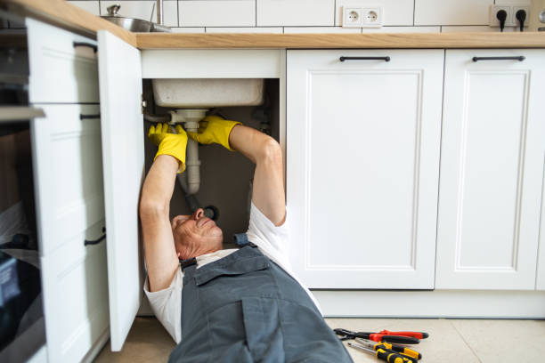 Best Affordable Plumber Near Me  in Despard, WV