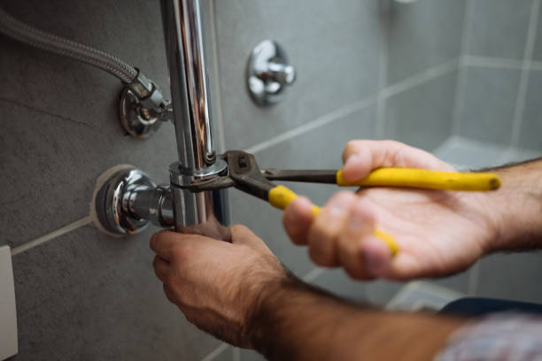 Best Emergency Plumbing Repair  in Despard, WV