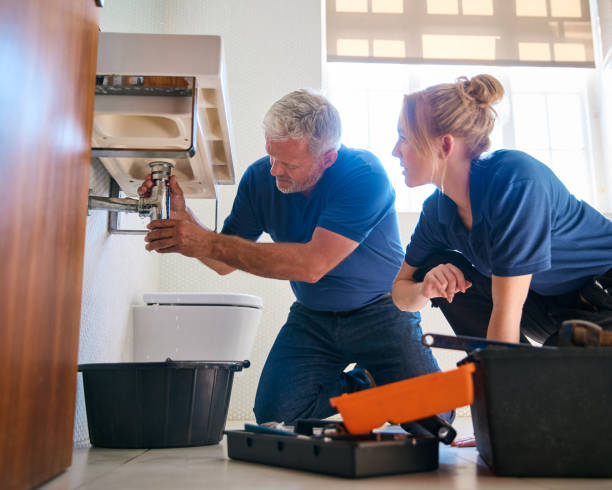Best Affordable Plumbing Services  in Despard, WV